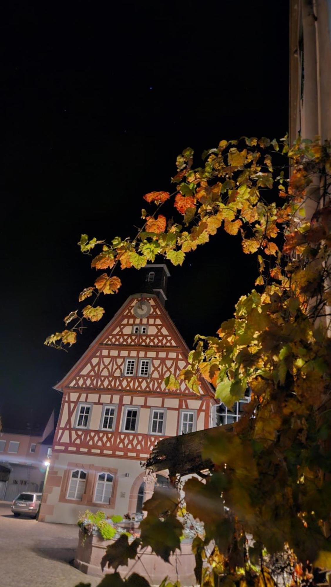 Brunnenputzer Pension Restaurant Kulsheim Eksteriør billede